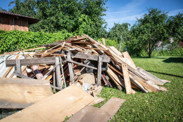 Best Shed Removal  in Oldsmar, FL
